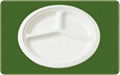 decomposable sugarcane 10 inch round plate 2