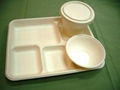 biodegradable fibre catering tableware