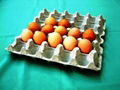 recycled paper pulp egg carton/egg tray/box/cup tray 2