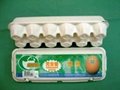 recycled paper pulp egg carton/egg tray/box/cup tray 3