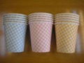 disposable paper cup