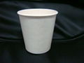 chip paper cup 2