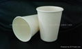 PLA paper cup