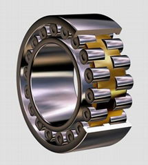 double row cylindrical roller bearing