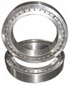 SL series (full complement) cylindrical roller bearings 1