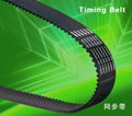 Automotive Timing Belt 1