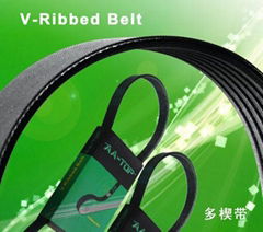 Automotive V Ribbed Belt