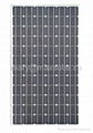 Mono-Crystalline Solar Panel(270WP)  1