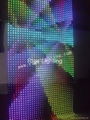 Flexible Grid Led Display P55mm 3