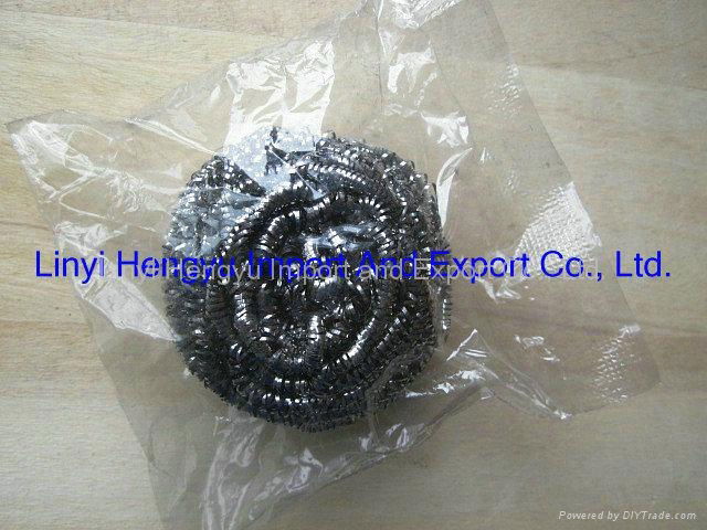 Stainless Steel Scourer