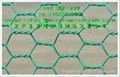 hexagonal wire netting