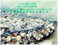 gabion box 2