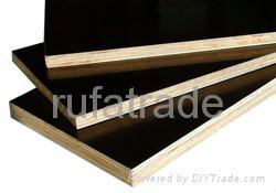 Black or Brown film faced plywood