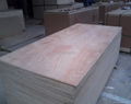 commercial plywood 1