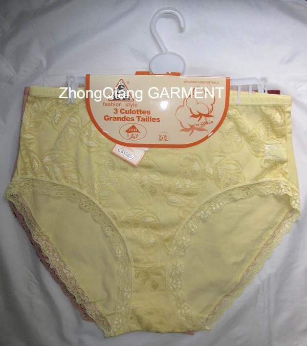 Ladies underwear briefs boxer shorts underpants 