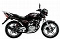 Motorcycle Ruizhi 1