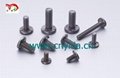 焊接螺絲，焊接螺釘,焊接螺栓，緊固件，螺母，雙頭螺栓