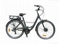 electric bicycle with lithium battery  2