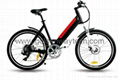 250W Good quality of  city electric bicycles ---CEB-005B