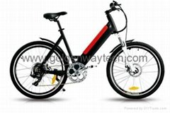 250W Good quality of  city electric bicycles ---CEB-005B