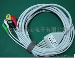 One-Piece Series Patient Cable With