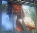 LED flexible Curtain screen