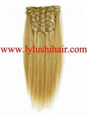 clip in hair extensions