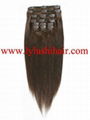 clip in hair extensions 2