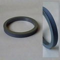 silicon carbide seal face