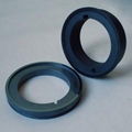 Tank Seal Ring BCS