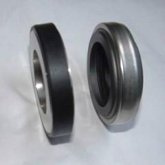 Tank Seal Ring BCS