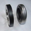 Tank Seal Ring BCS 1