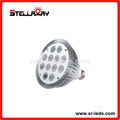 12W PAR38 LED Spotlight