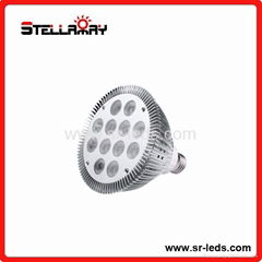 12W PAR38 LED 射灯