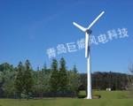 巨能風力發電機 4