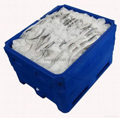 Fish Tub/Fish Bin/Insulated Plastic Fish Tubs and Bins