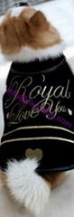 Royal & Love You Proud Dog Coat