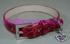 Luxury Pet Collar