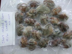 FROZEN BOILED SHORT NECKED CLAM（VACUUM PACK）
