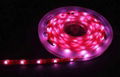 flexible led strips