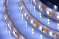 led soft light, led flexible strips