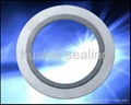 Spiral wound gasket  2