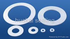 Expanded PTFE gasket