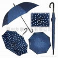 straight umbrella,simple  umbrella,auto