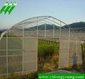 Greenhouse 4