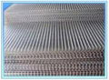 Welded Wire Mesh