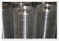 Welded Wire Mesh 2