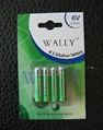 WALLY碱性电池wl-041