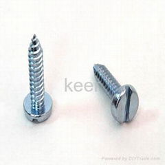 self-tapping screw