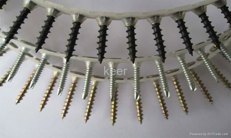 collated screw